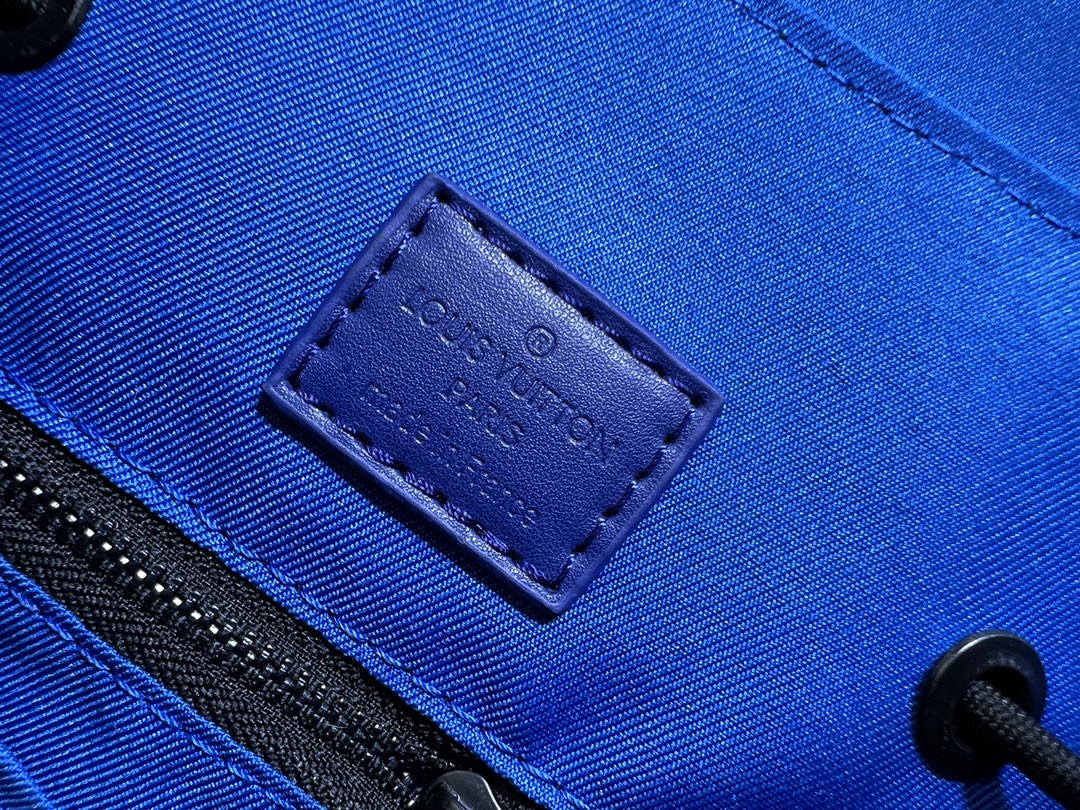 louis vuitton Backpack luxury